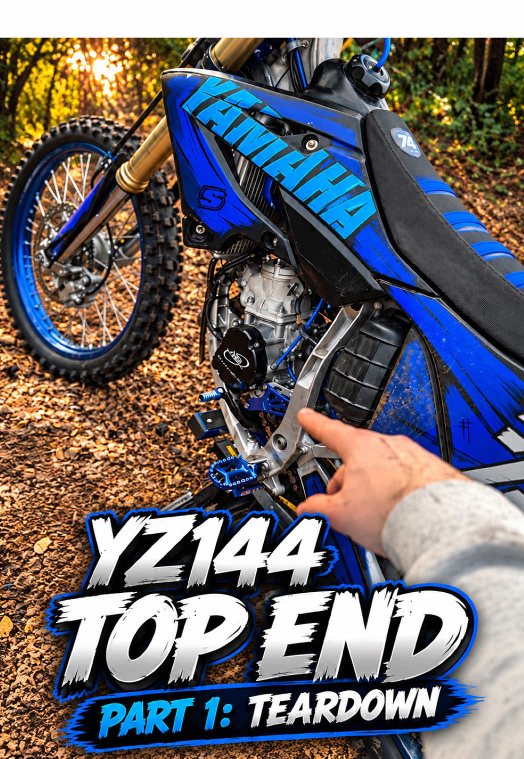 @jx on mx