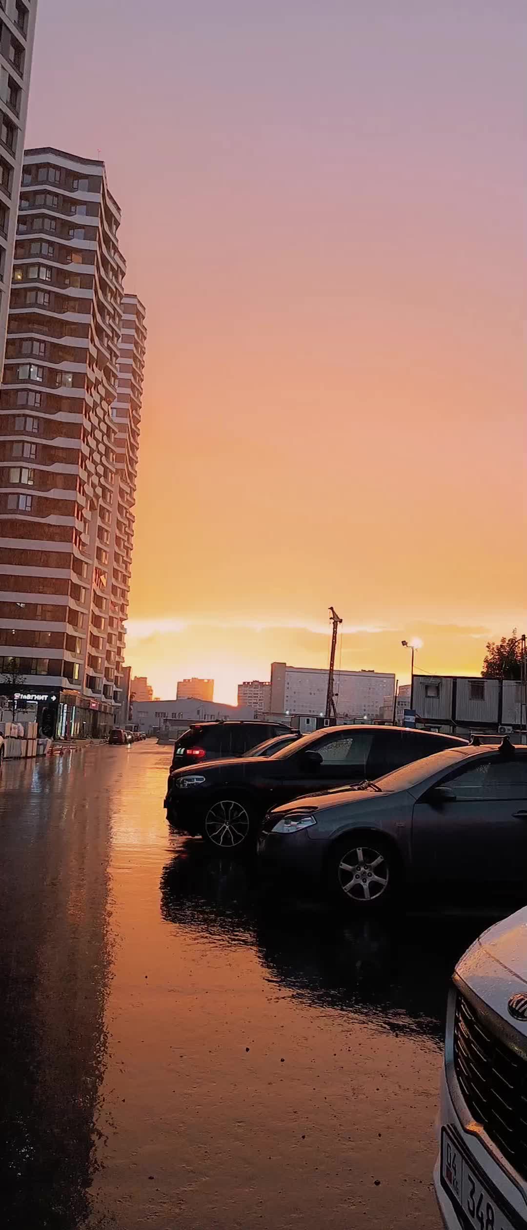 @memmedov