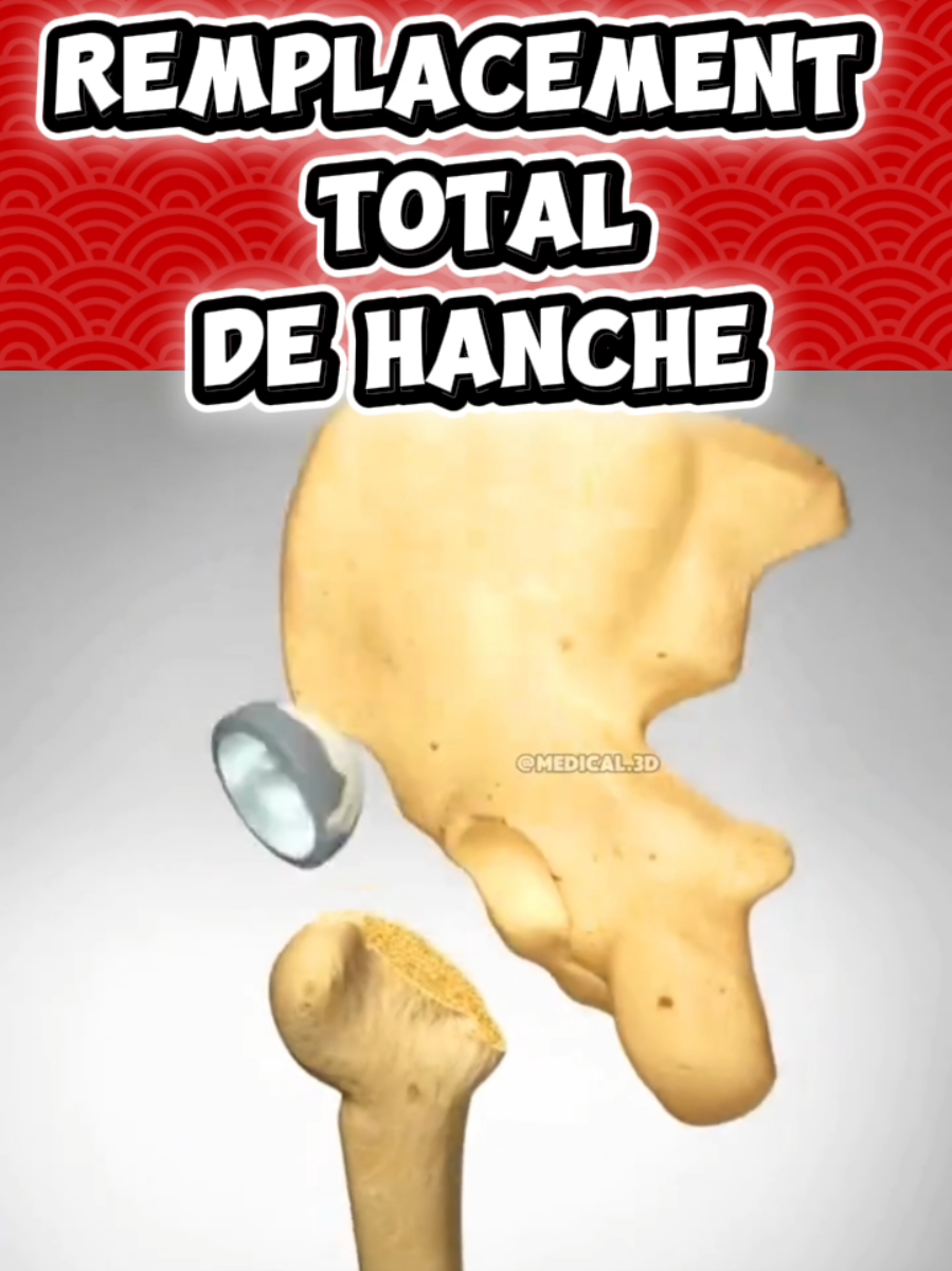 @Docteur Shepherd