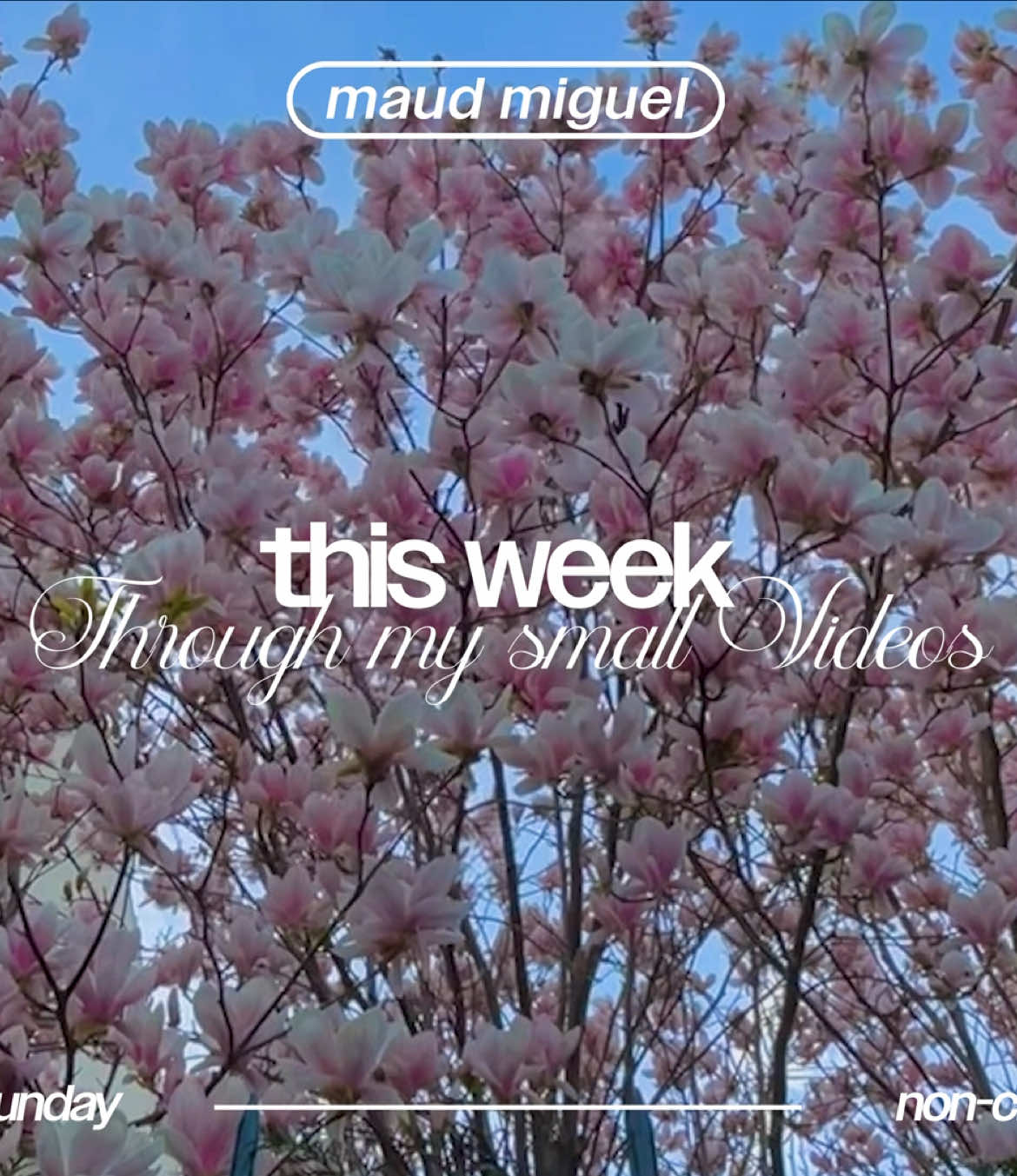 @maudmiguel