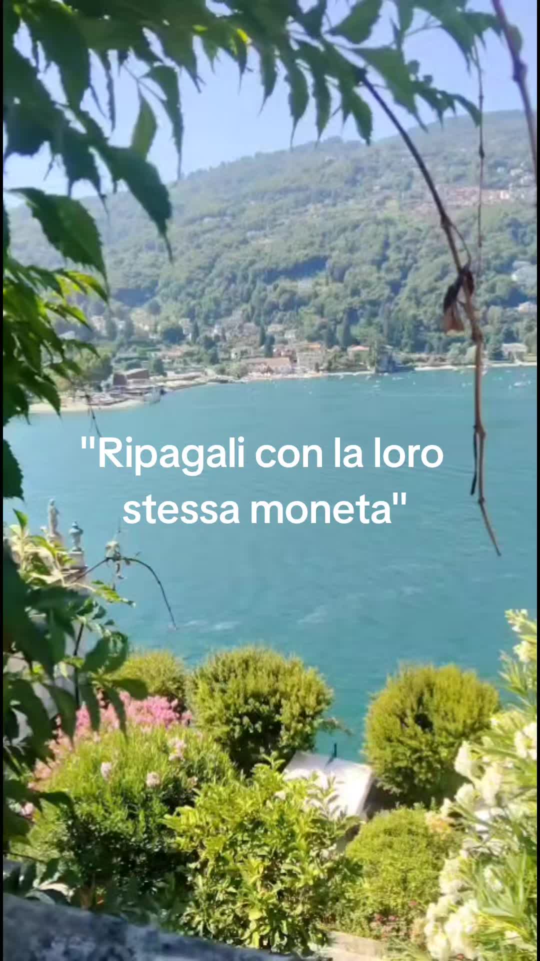 @Daniela