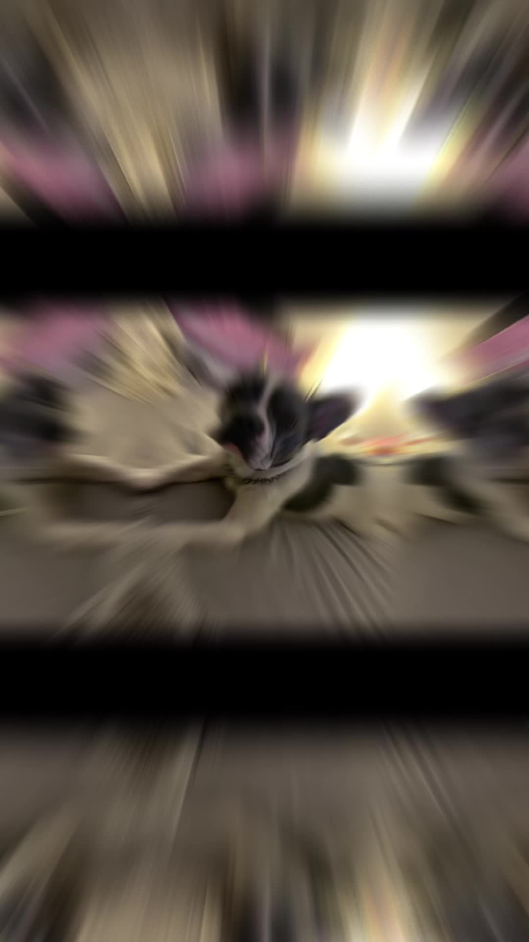 @Kiki