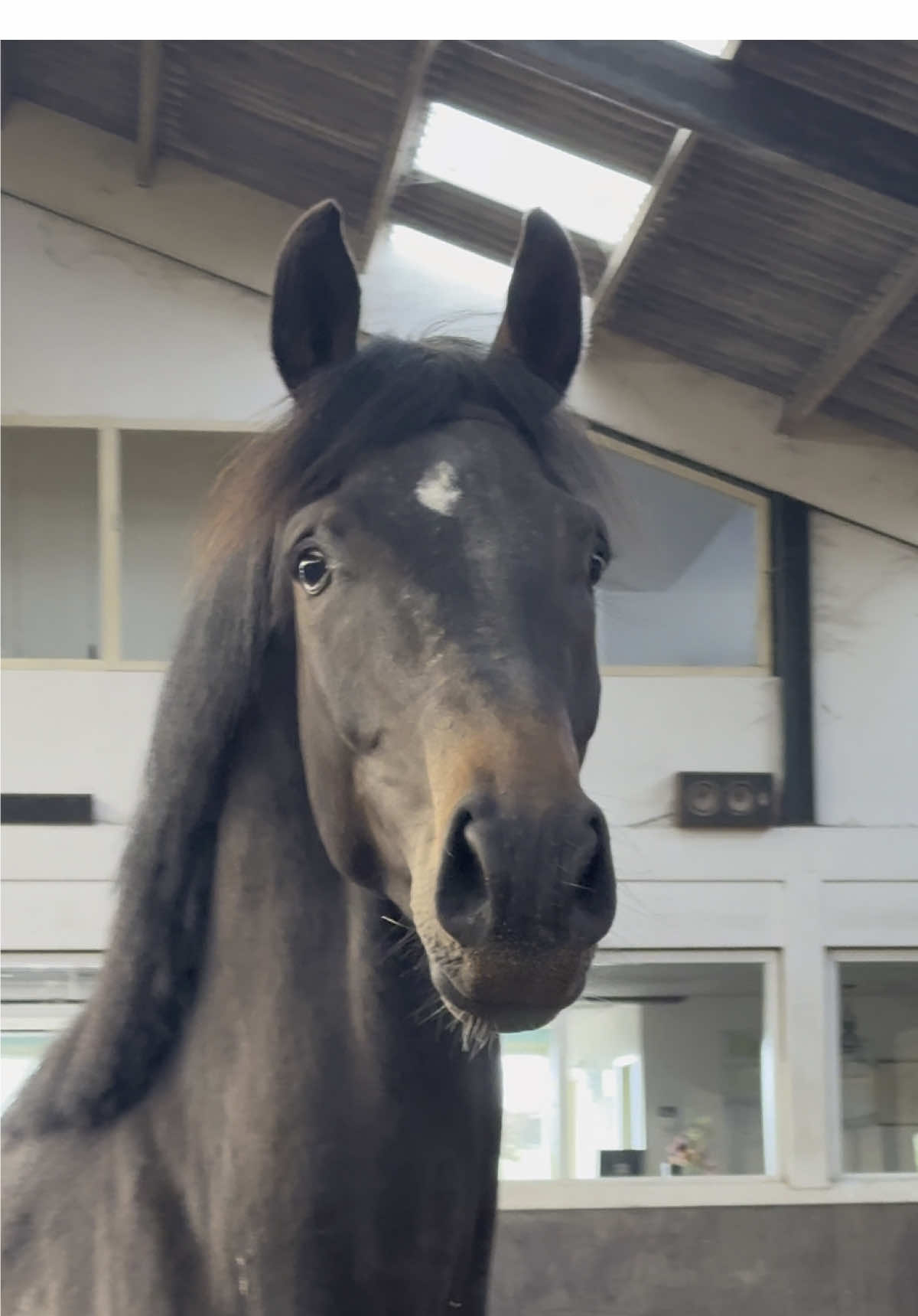 @𝐒𝐢𝐞𝐧𝐧𝐚 𝐓𝐨𝐥𝐤 🇳🇱