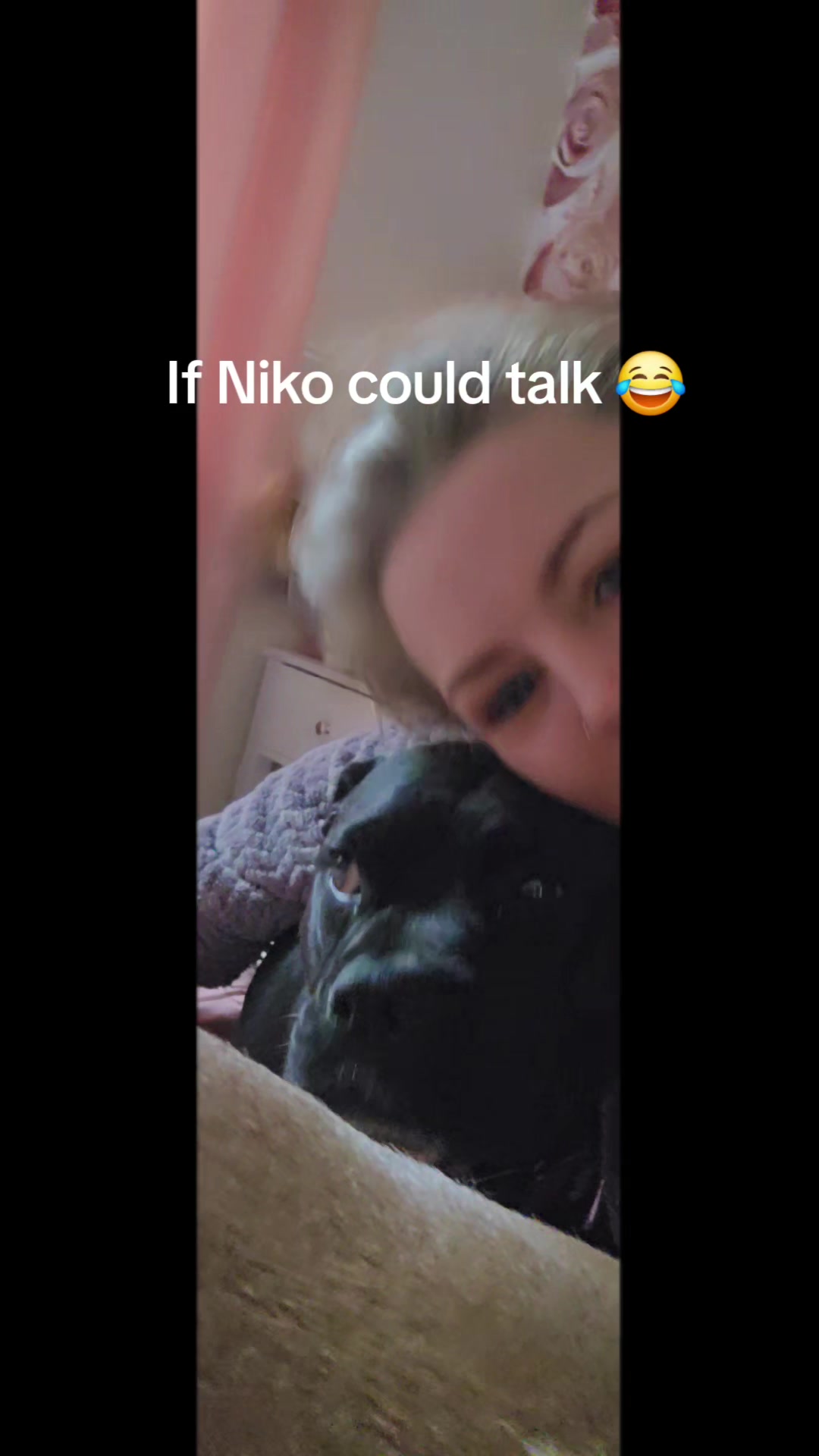 @mybullysandme🐶🇬🇧 (kelly)