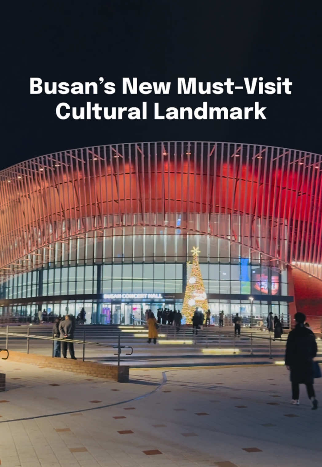 @Busanpedia🇰🇷