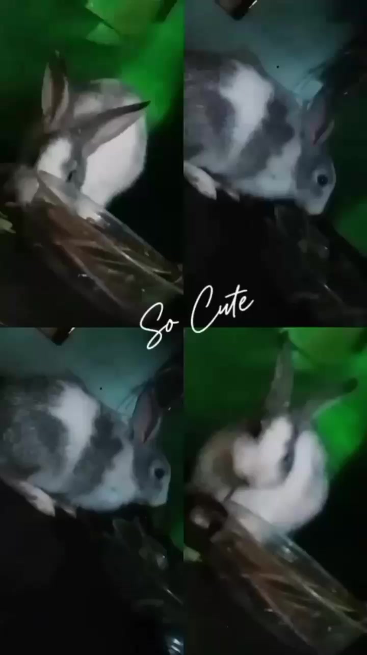 @ðžÈãç~Åð¿ðð¶