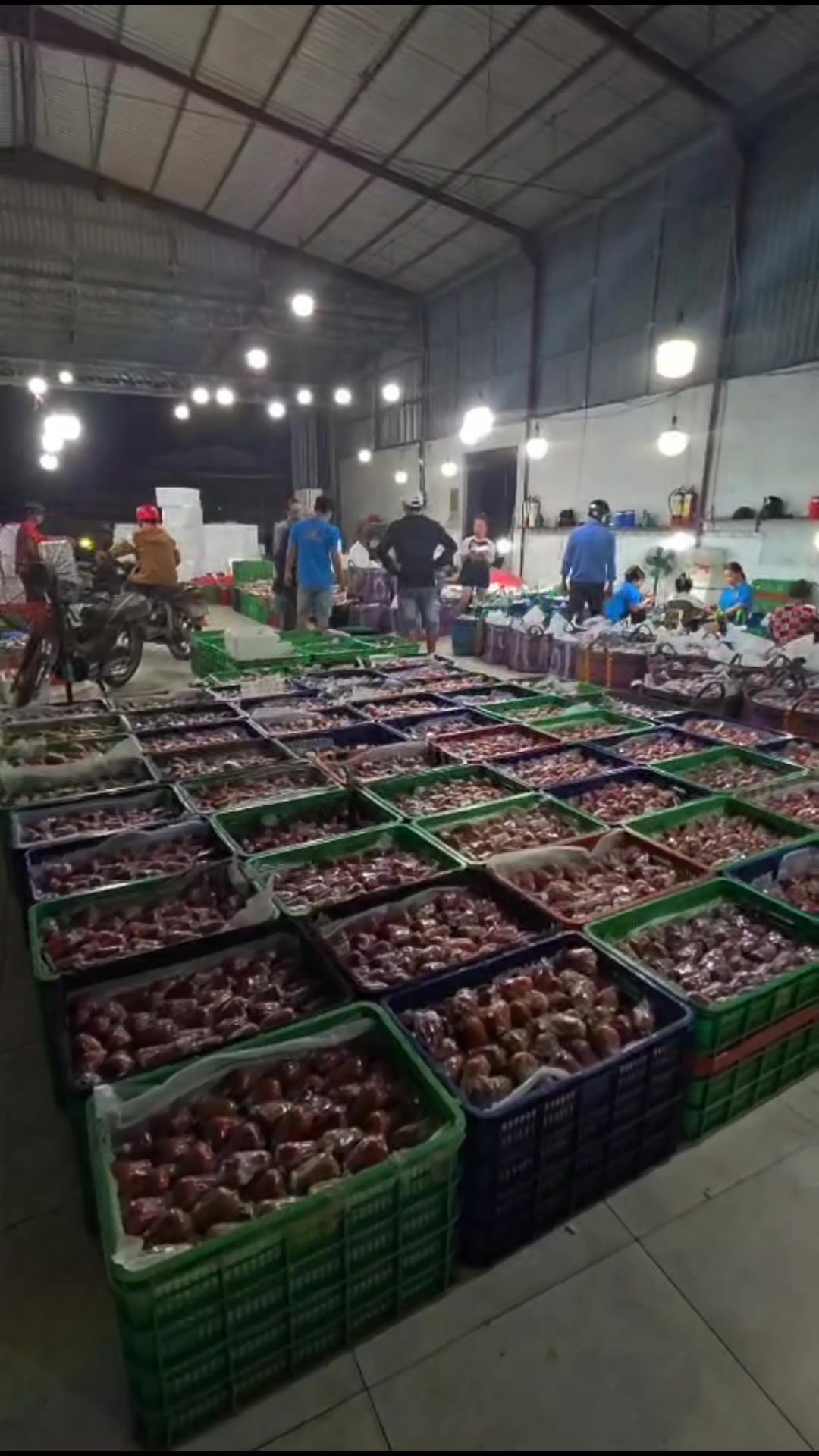 @mansaurienglan168