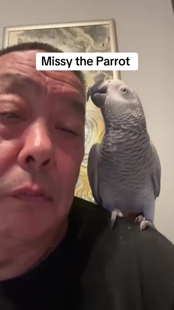 @Norman and Missy the Parrot