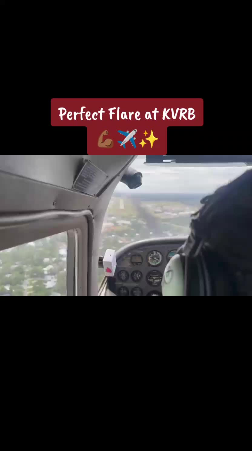 @Honor Rebel