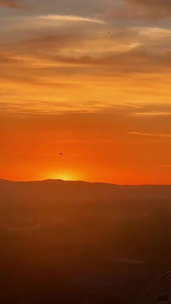 @๐
Sunset Lori ๐