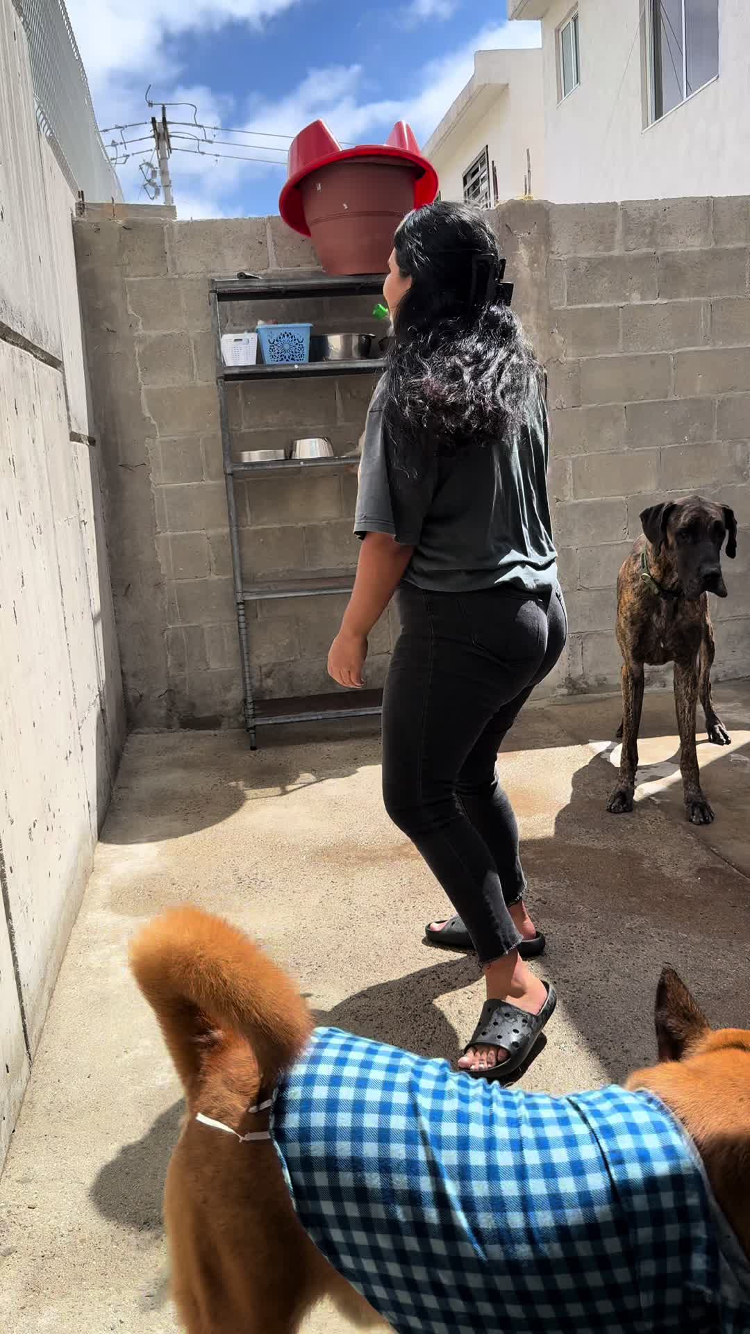@humanaitzel