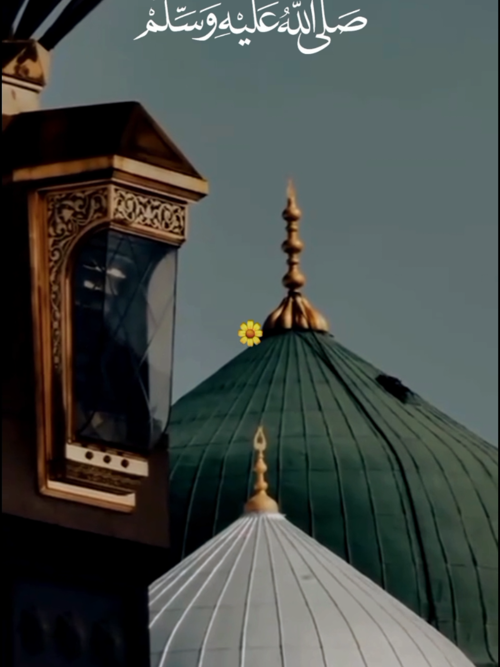 @𝙈𝘼𝙅𝙄𝘿 𝙒𝙍𝙄𝙏𝙀𝙎 ✨