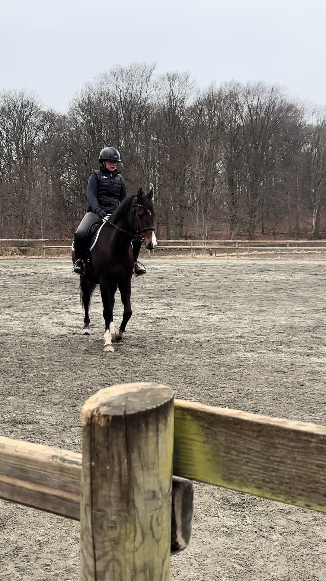@Tilda Zöller🇸🇪