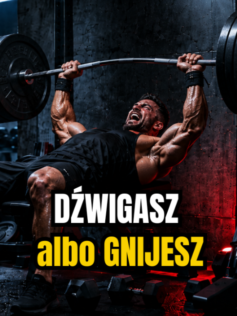@Bezwzgledna_Motywacja