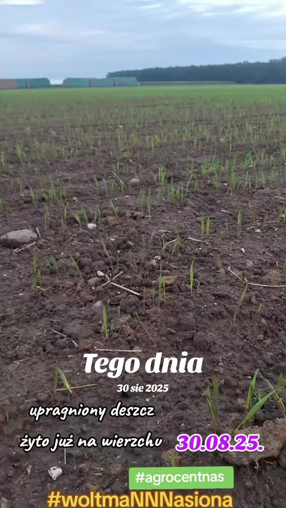 @WOLTMANNNASIONA