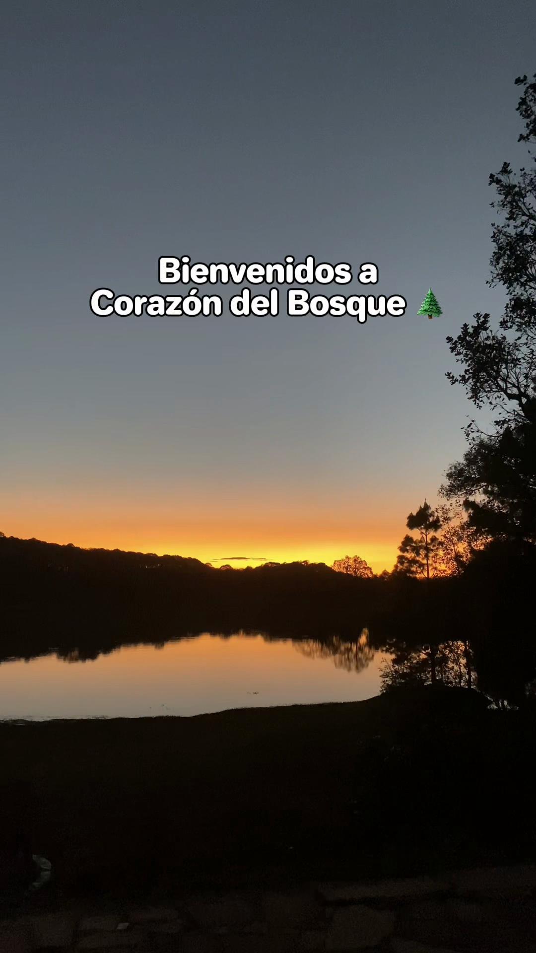 @Corazon del Bosque