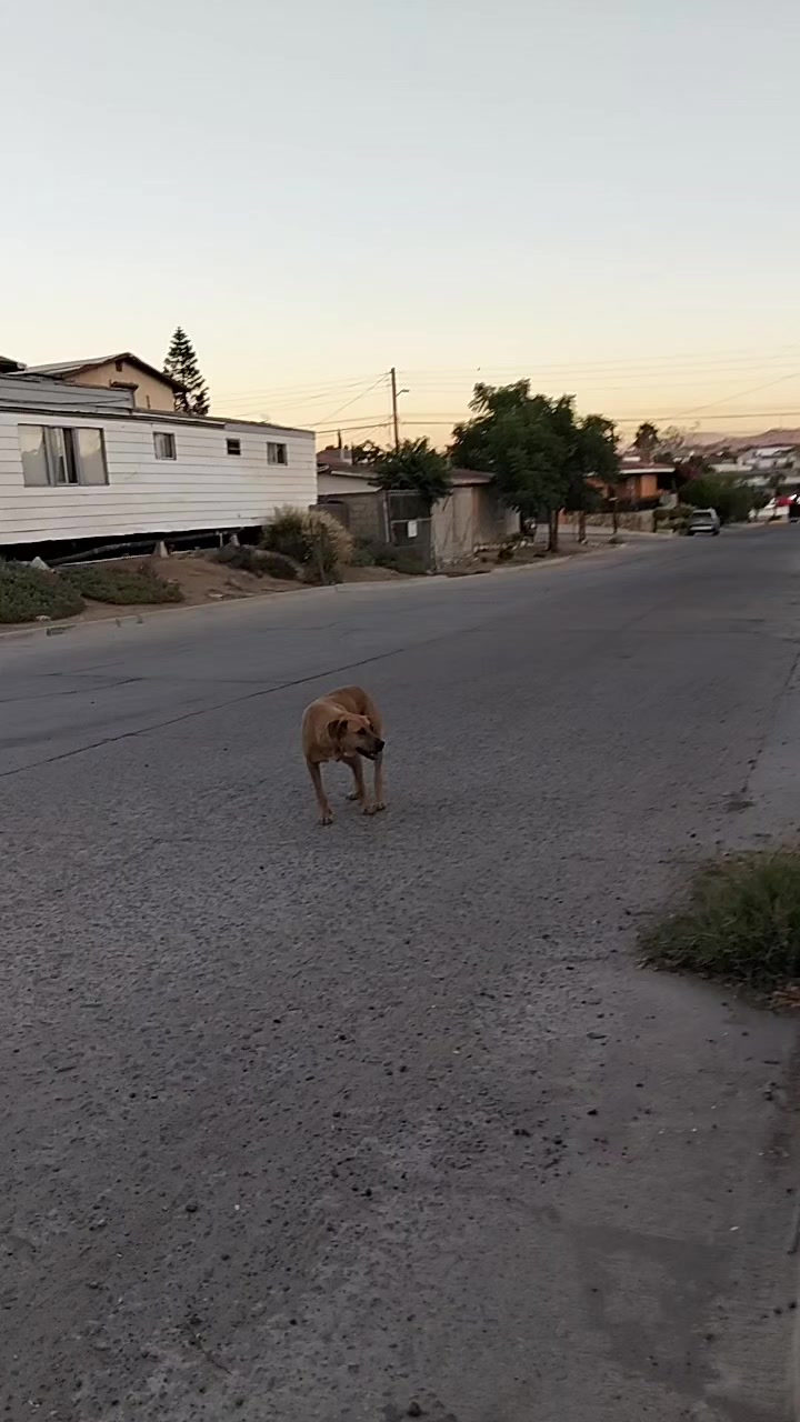 @#NoSoyRunner