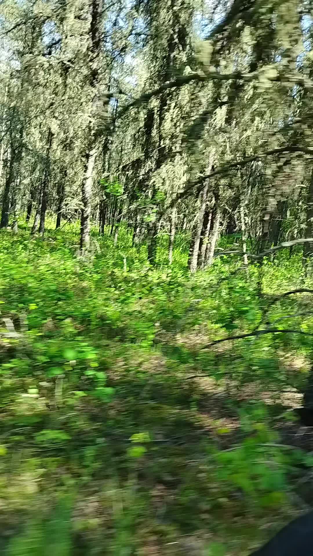 @monst3rmomma