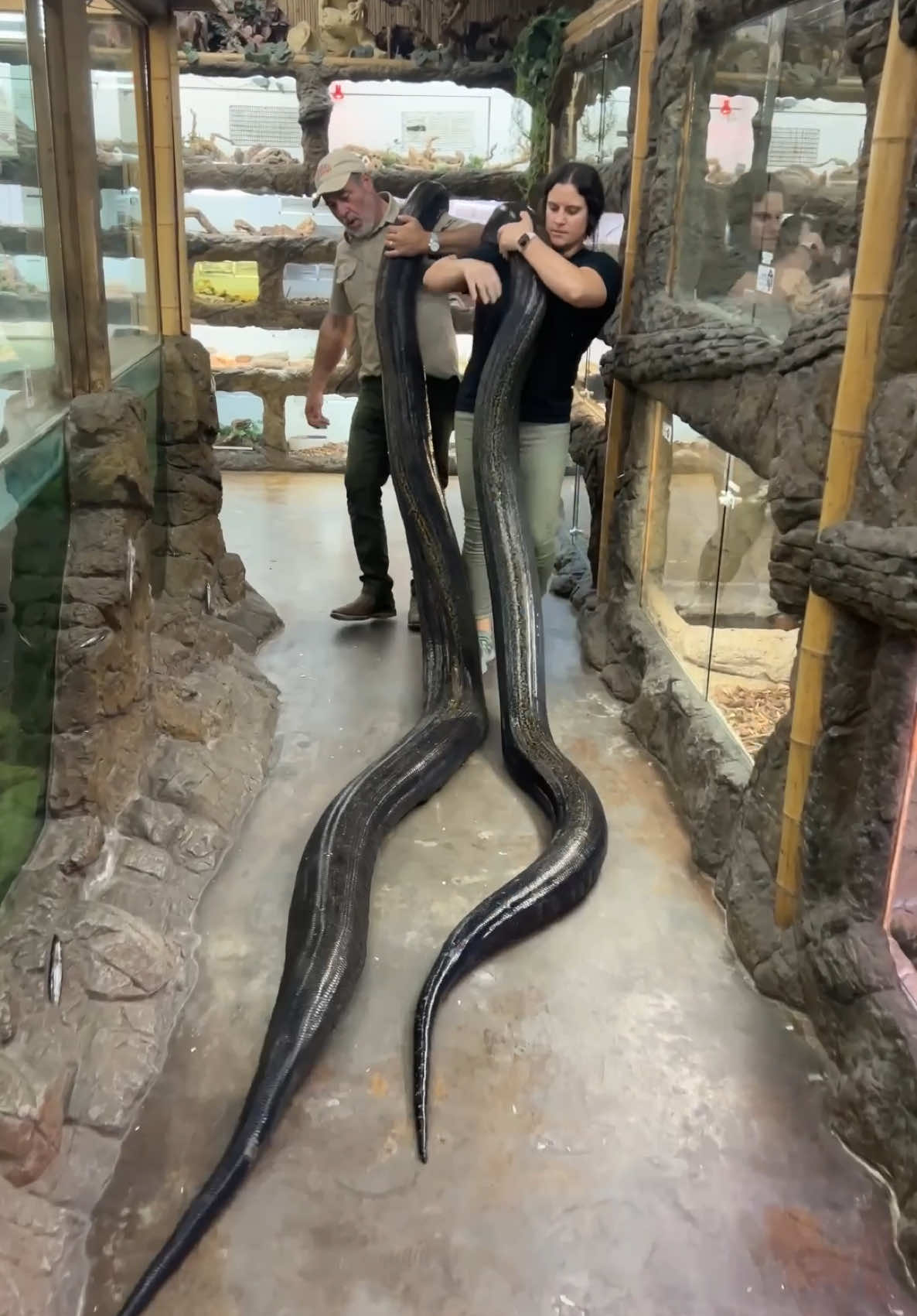 @The Reptile Zoo