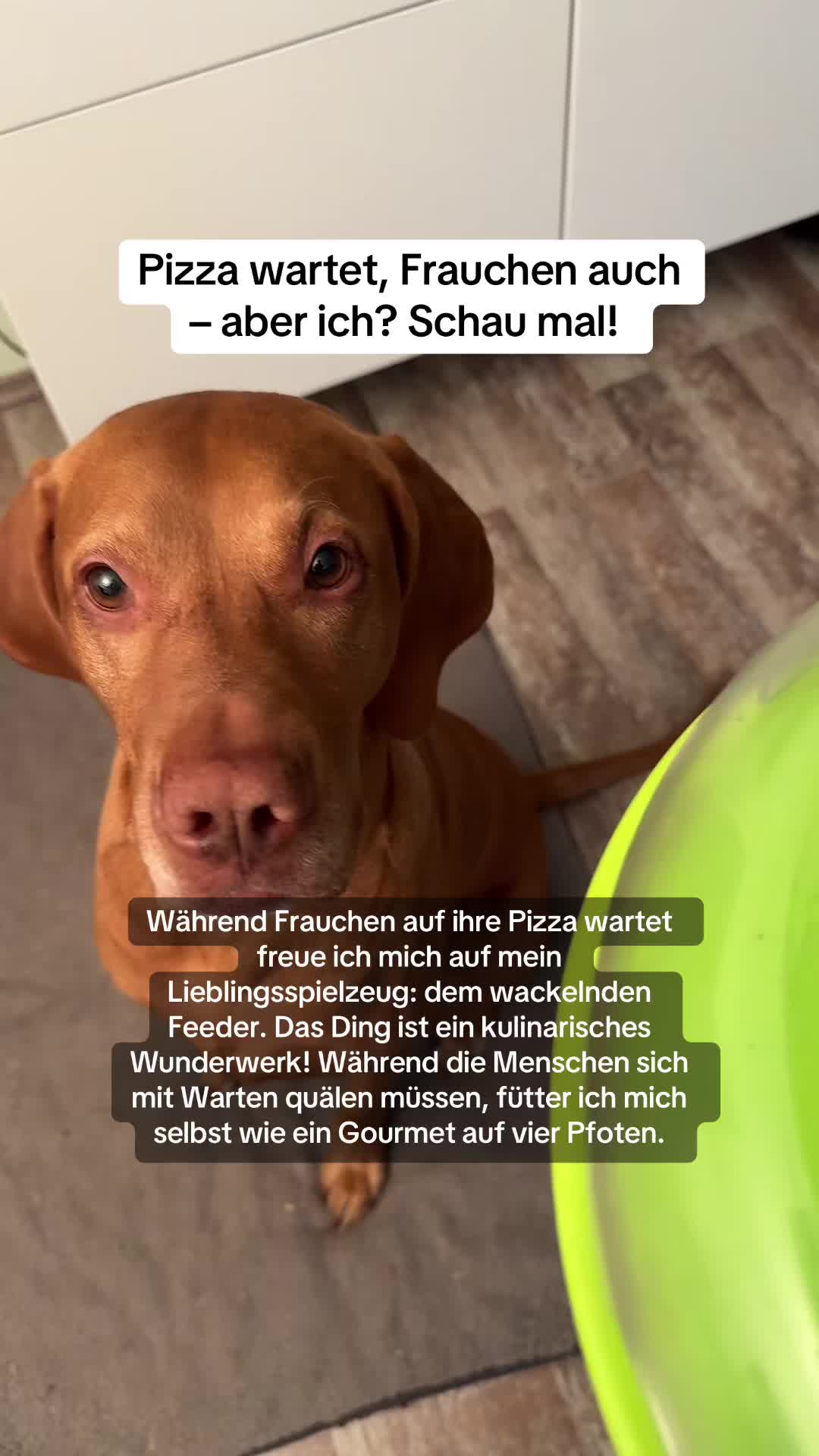 @Viola 🇩🇪 Alltag Panamá 🇵🇦