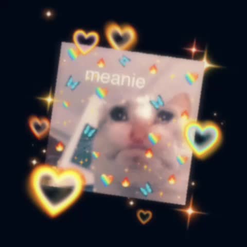 @Kingcat2468