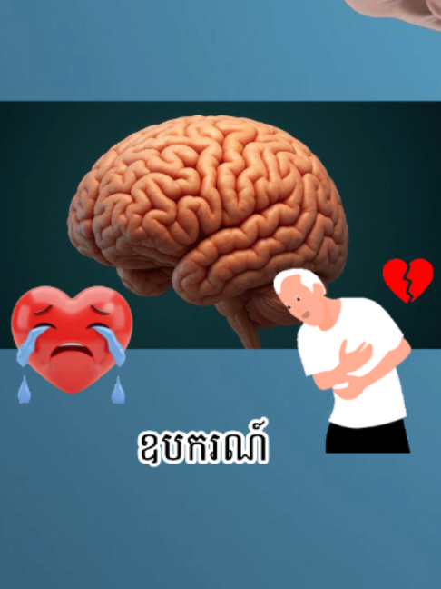 @Gen Tra