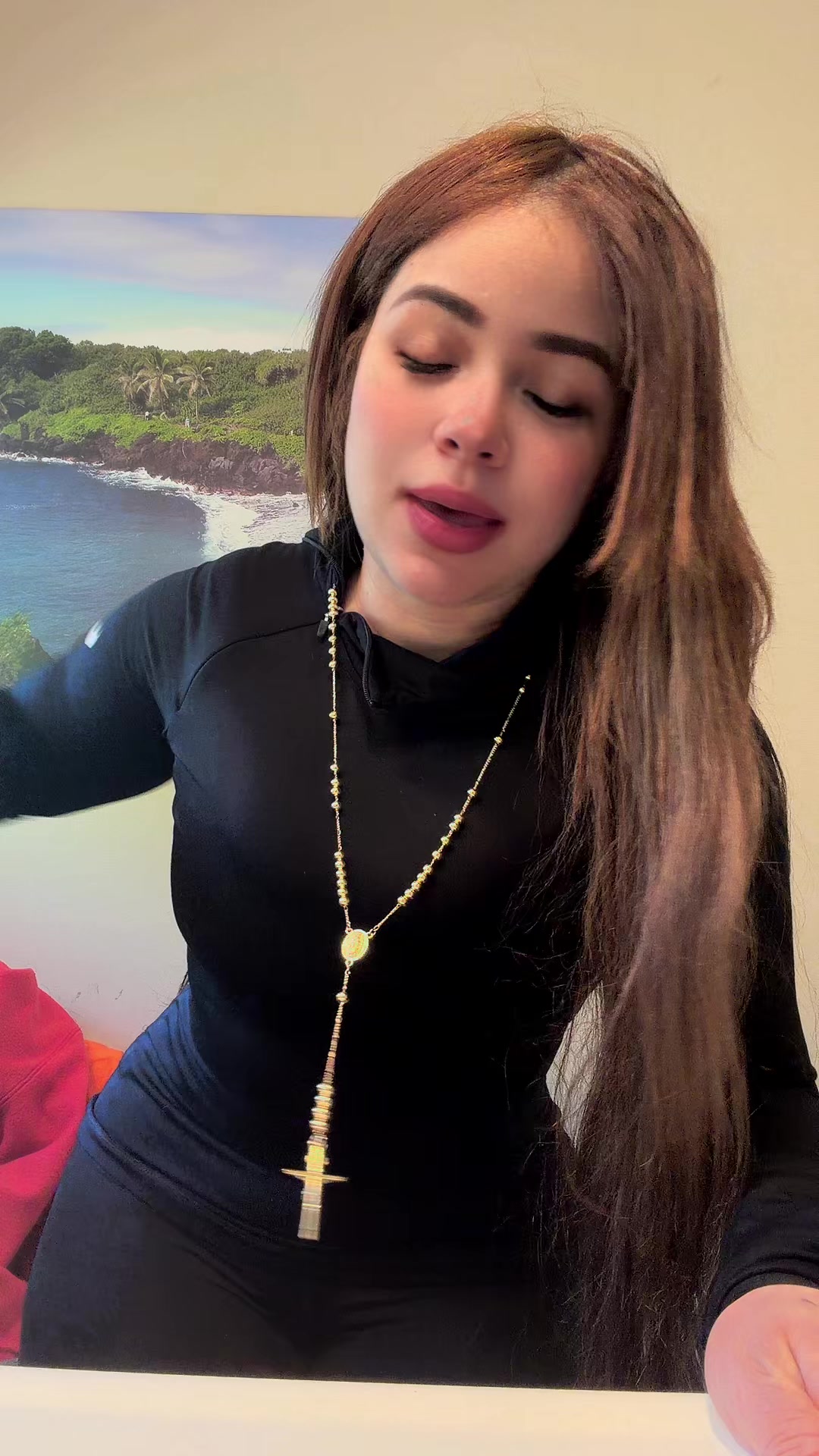 @Liss Rodríguez Peguero