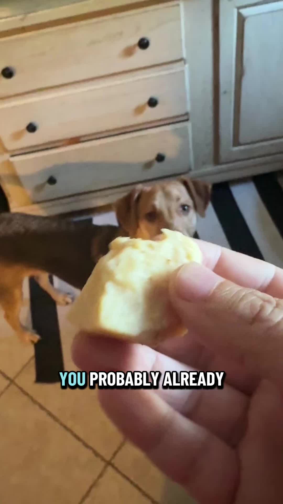 @Jay