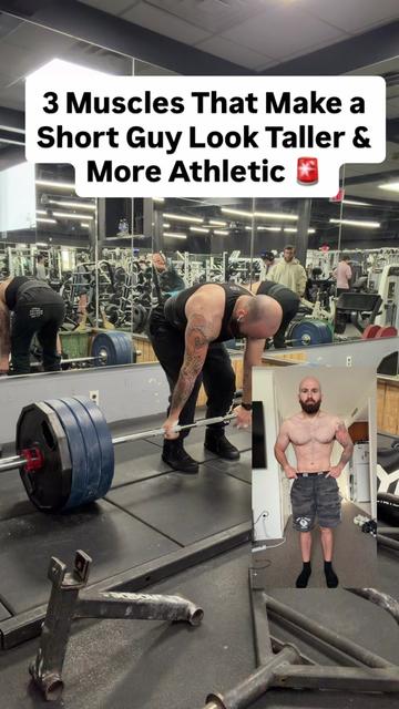 @AwolMuscle