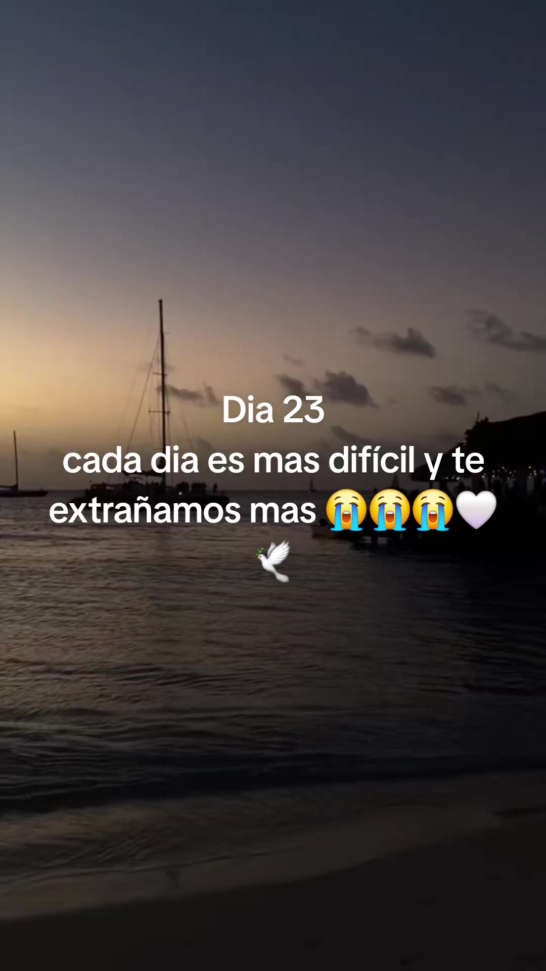 @SUE-VIDEOS