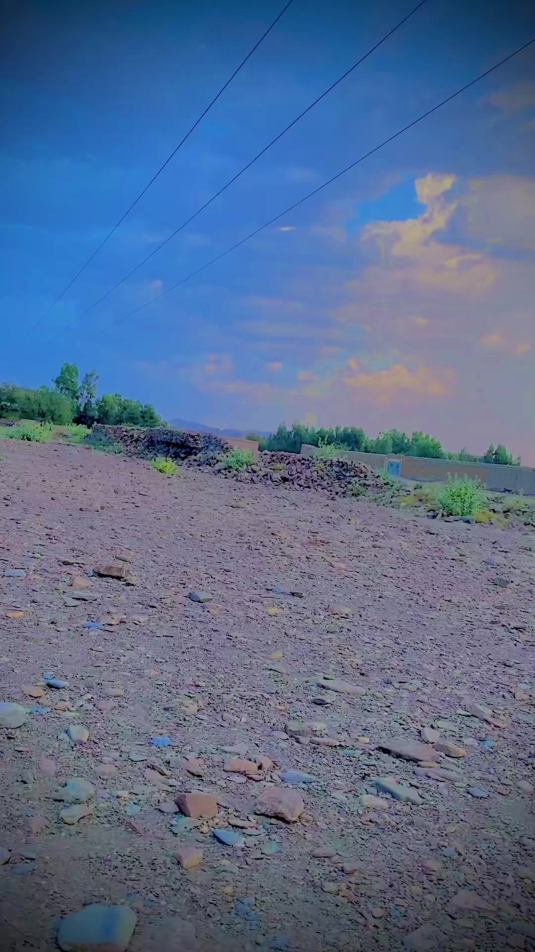 @༼ ❌↗ 𝙎𝘿𝙍.spinwal ↖ ༽❌