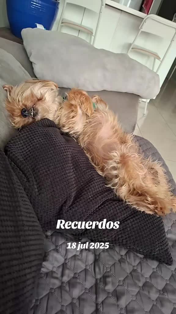 @Milu