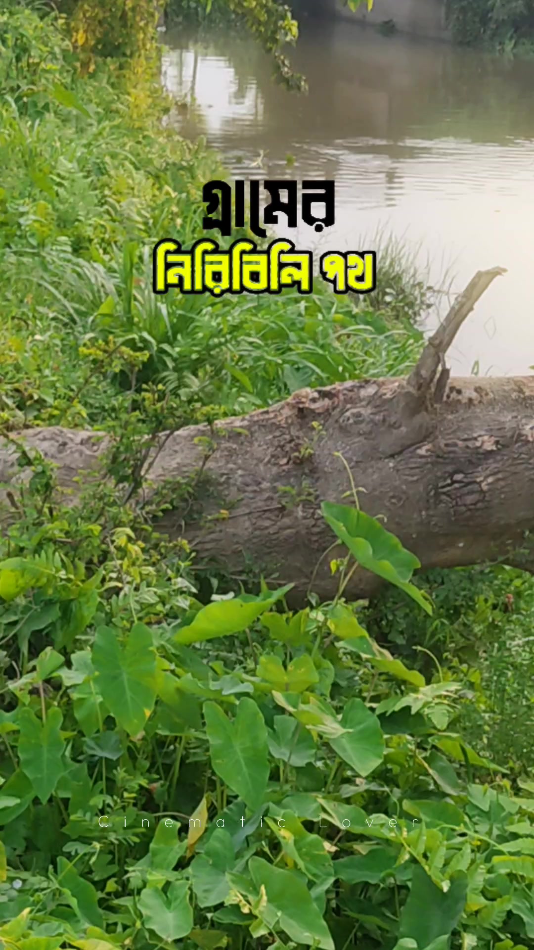 @أنايا أحمد