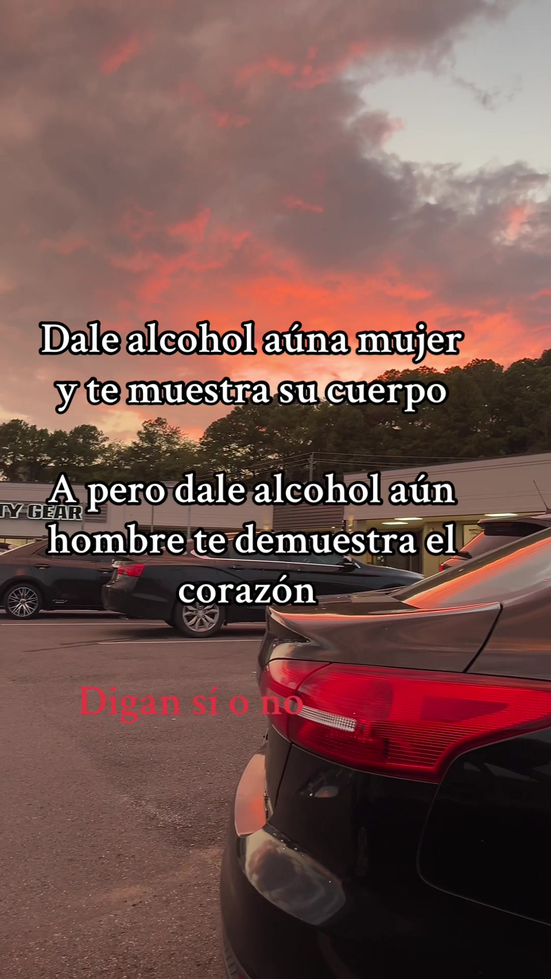 @Un-lobo,domesticado🧔🏻&zwj;♂️🇲🇽