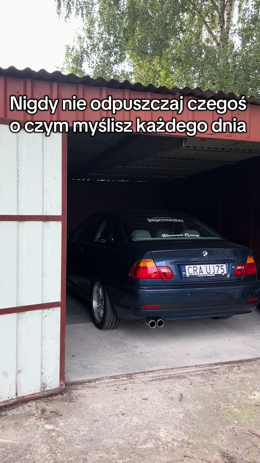 @Torp3dae46
