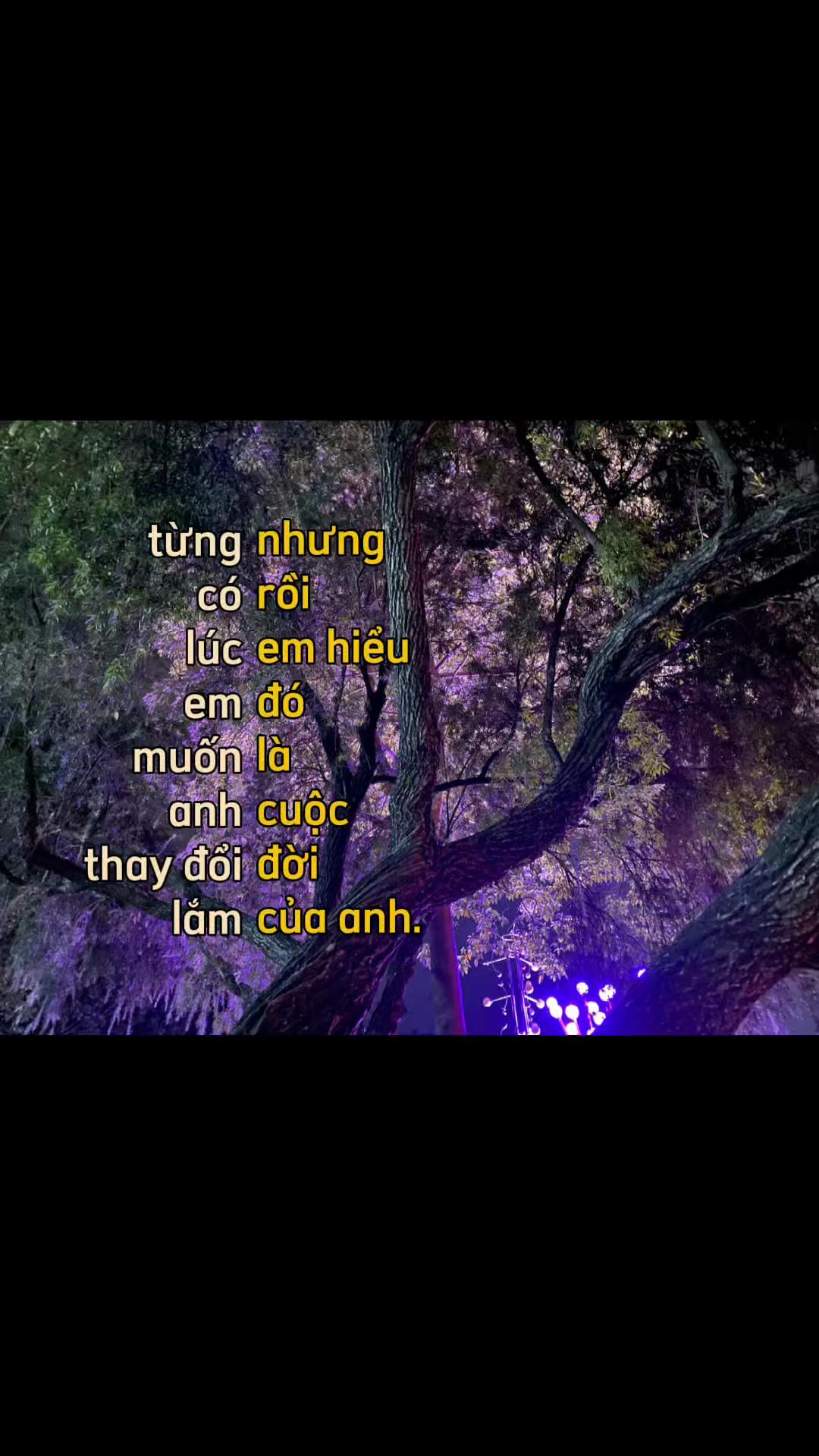 @ɦươɲɠ🍁 ᰔᩚ