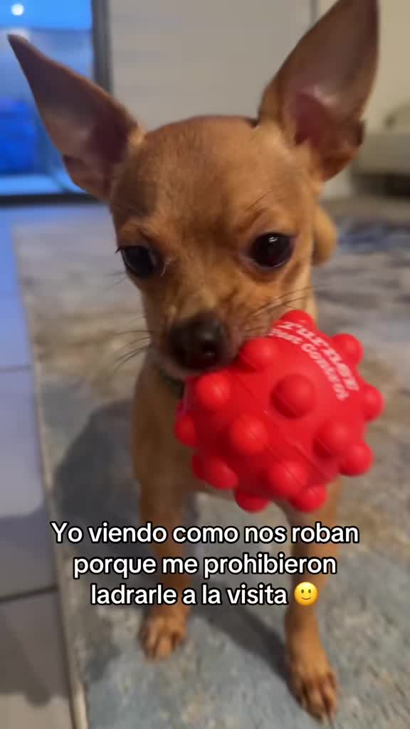 @Gloria Hernandez