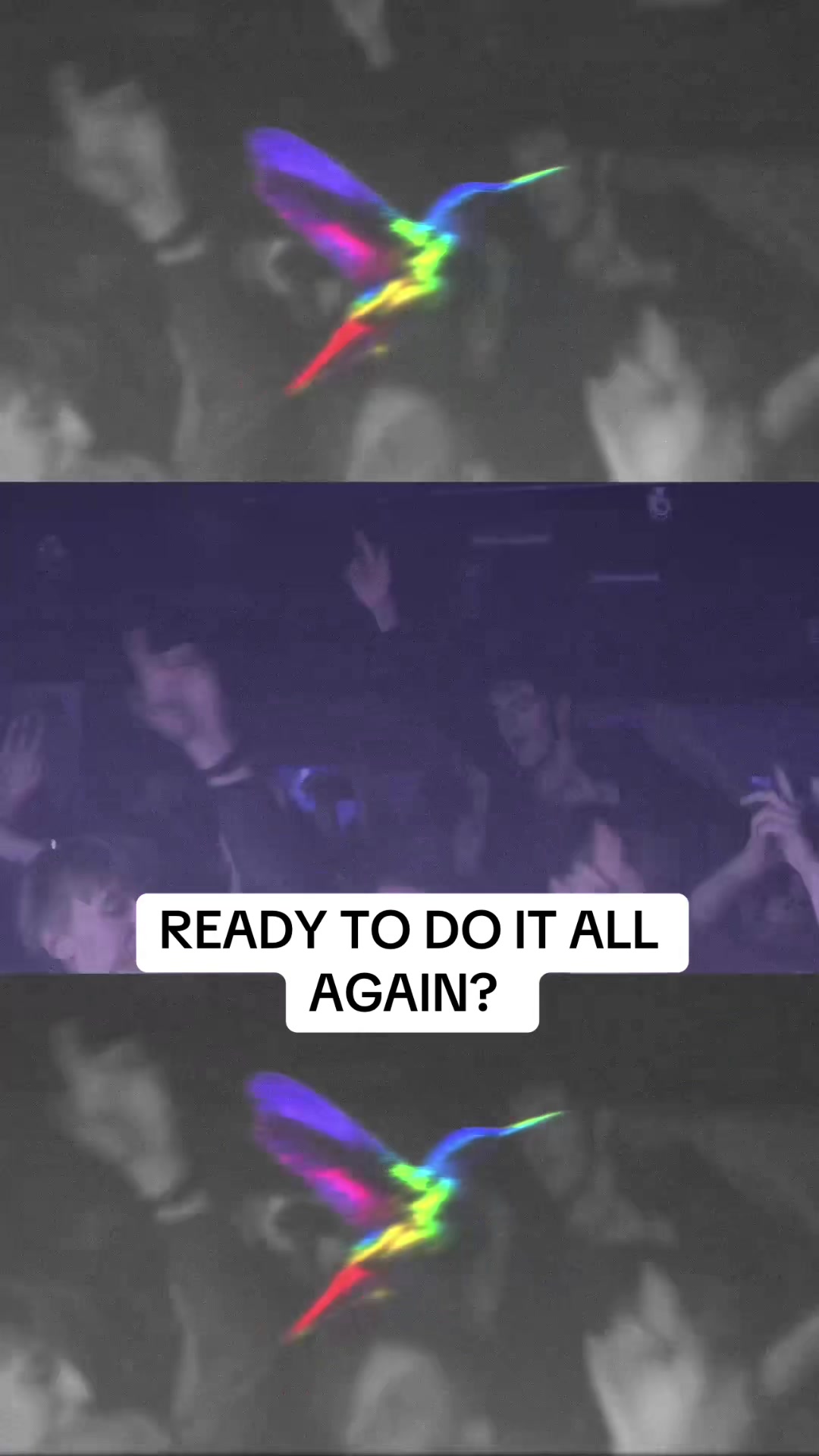 @thesherlocks