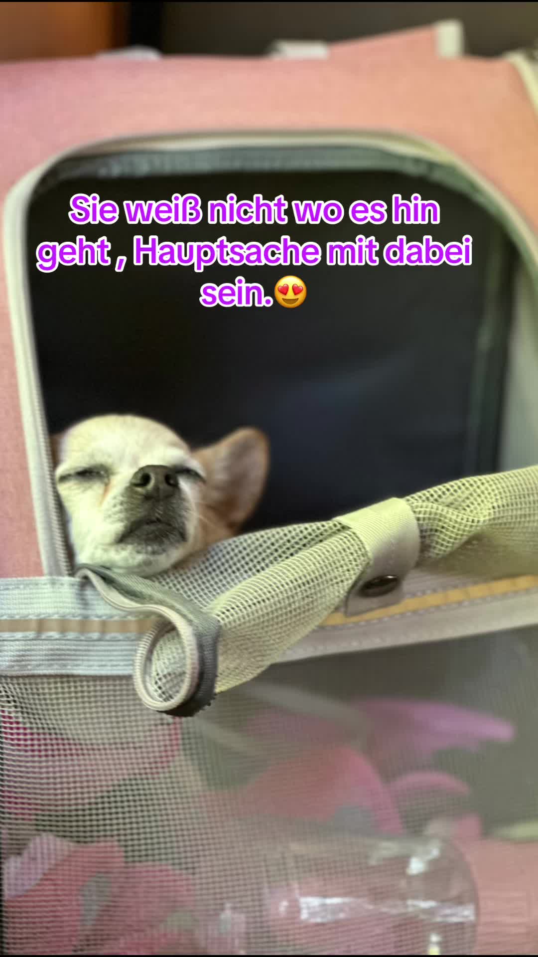@💖Frau von Heidenberg💖