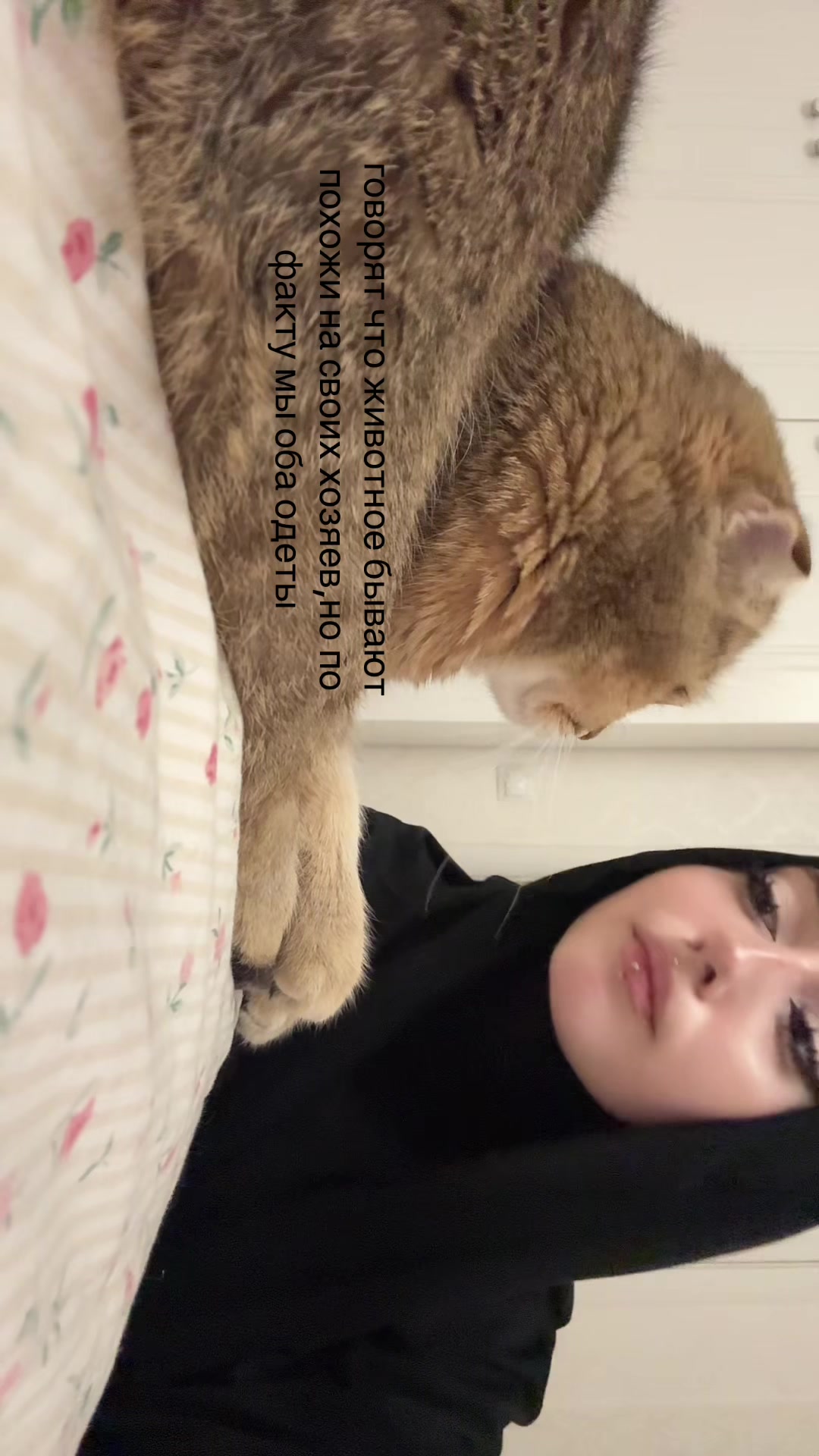 @lllamorrr