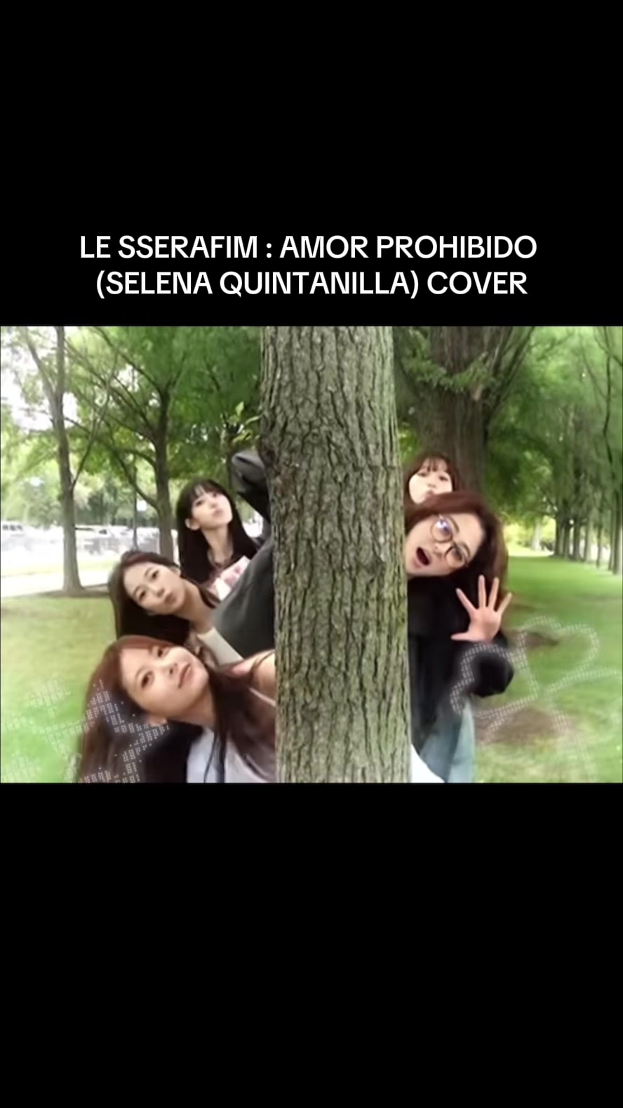 @🐯🐱🐍🦢🐈