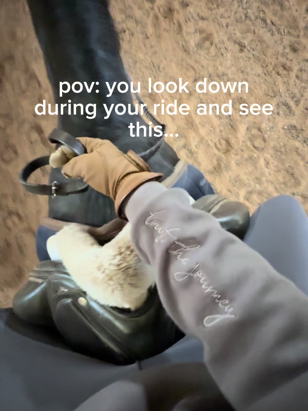 @Thiandro Equestrian