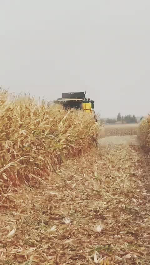 @MUSTAFA_ERGÜL47