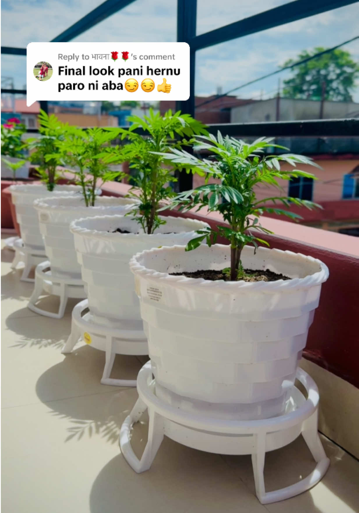 @SandhyaSharma323☀️