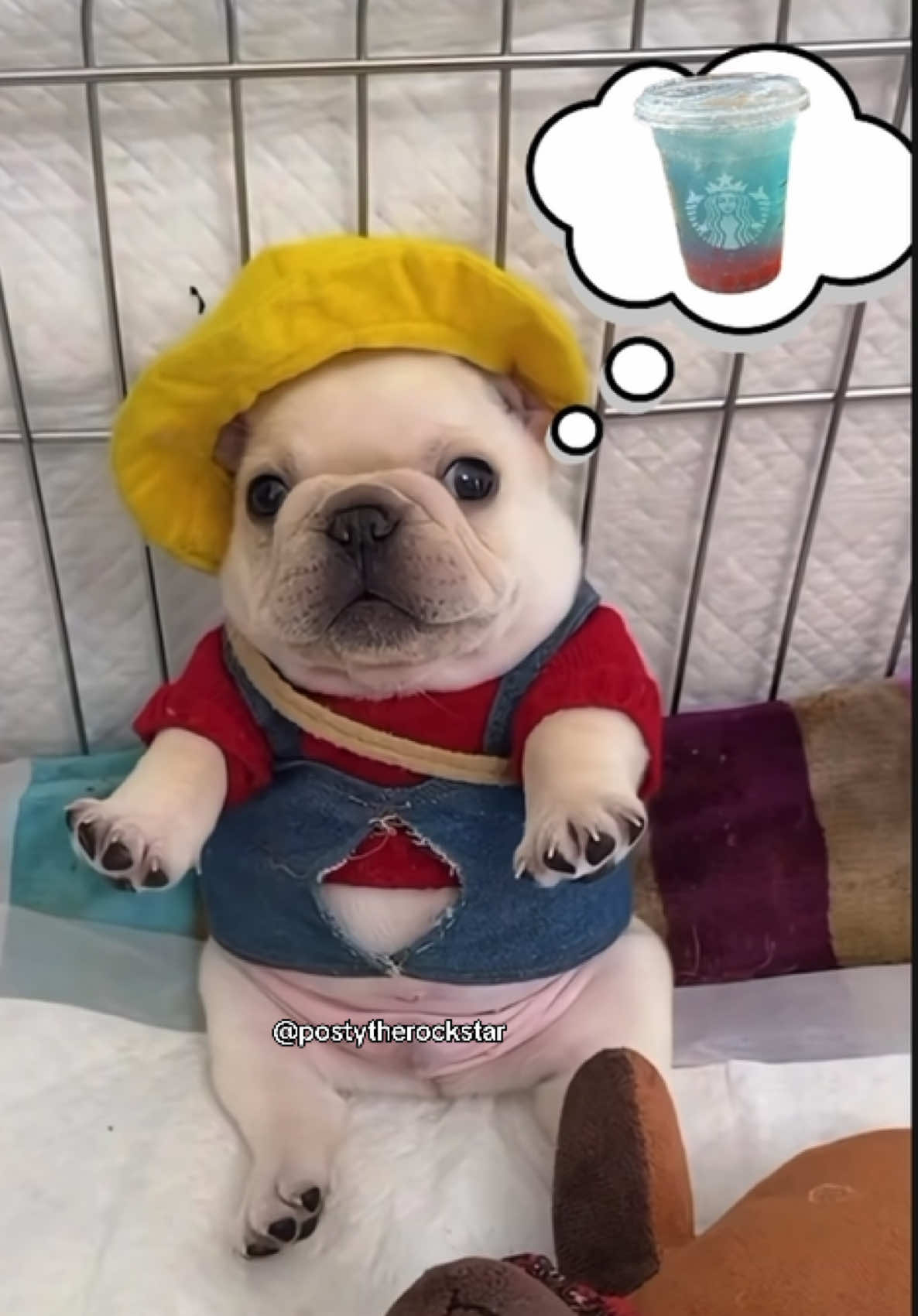 @Sasha๐ค๐