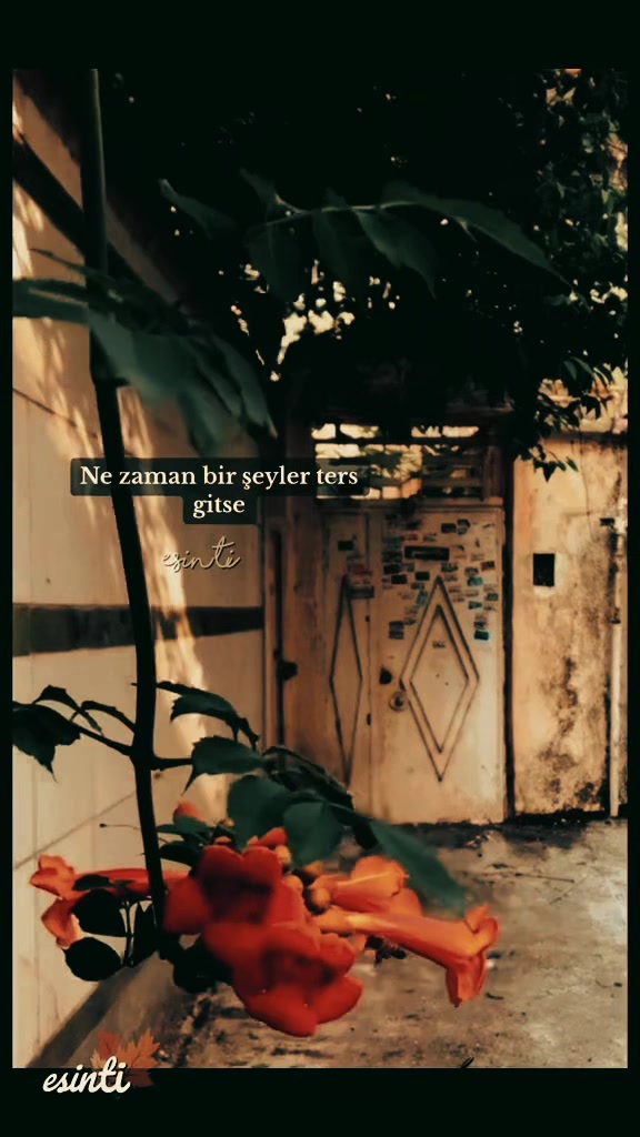 @༄༄𝓔𝓼𝓲𝓷𝓽𝓲༄༄