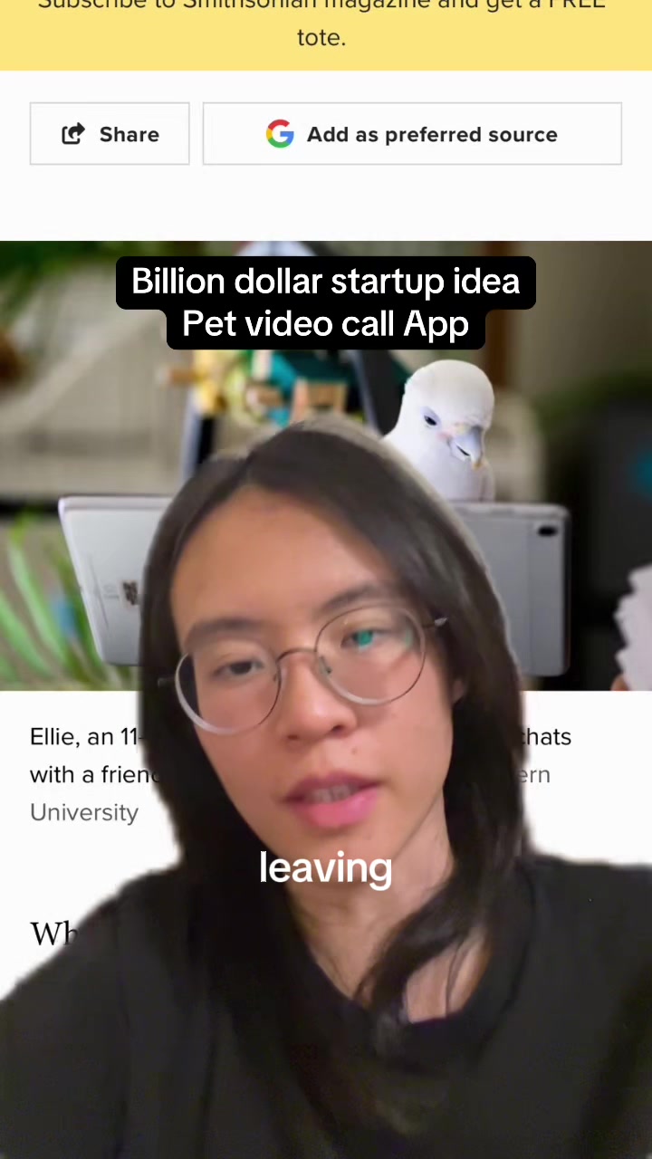 @Lan 🌊 AI startup fren