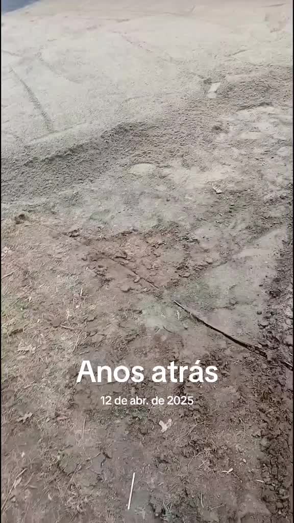 @Alessandro