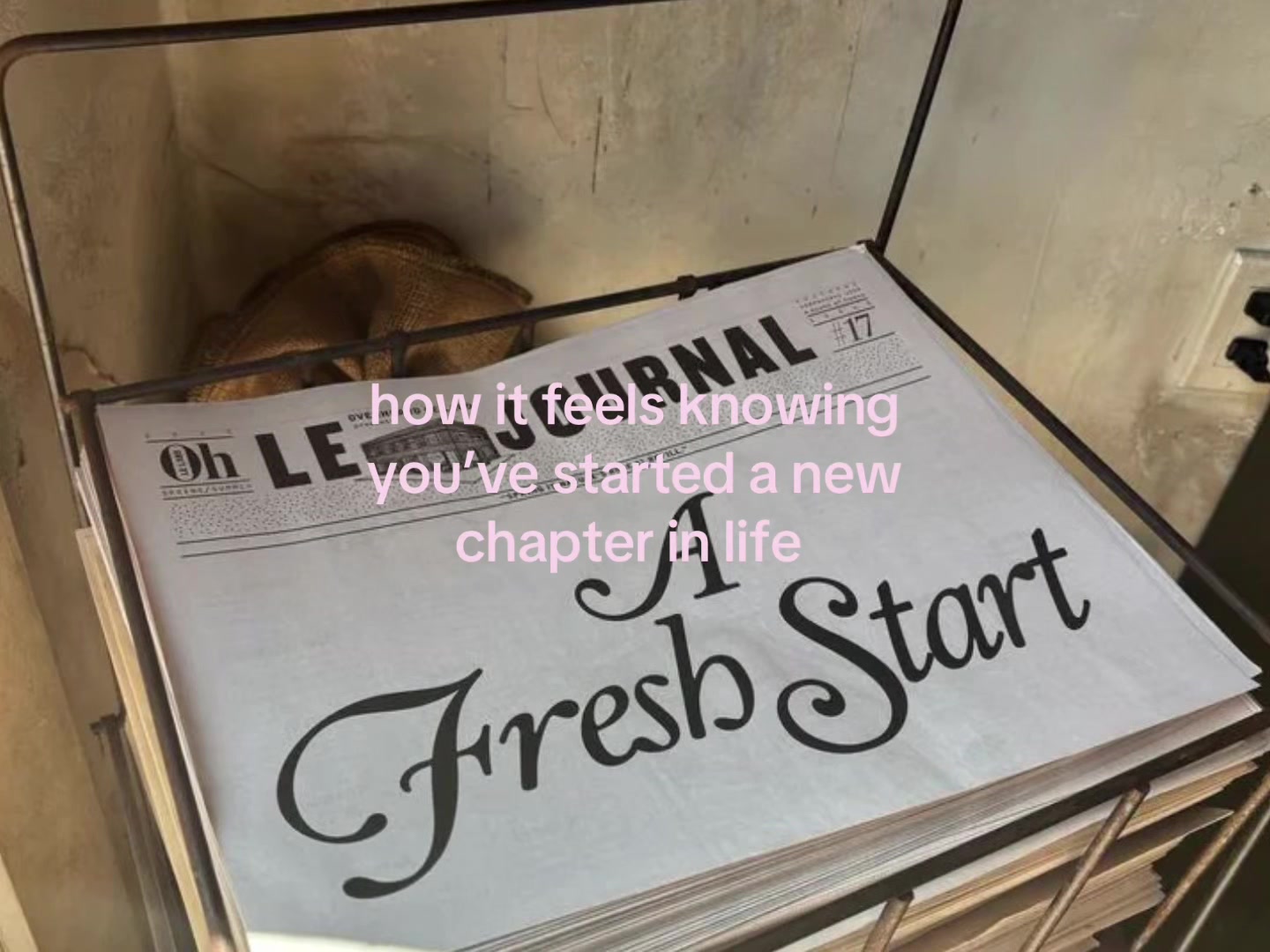 @️🧁🦌🪽