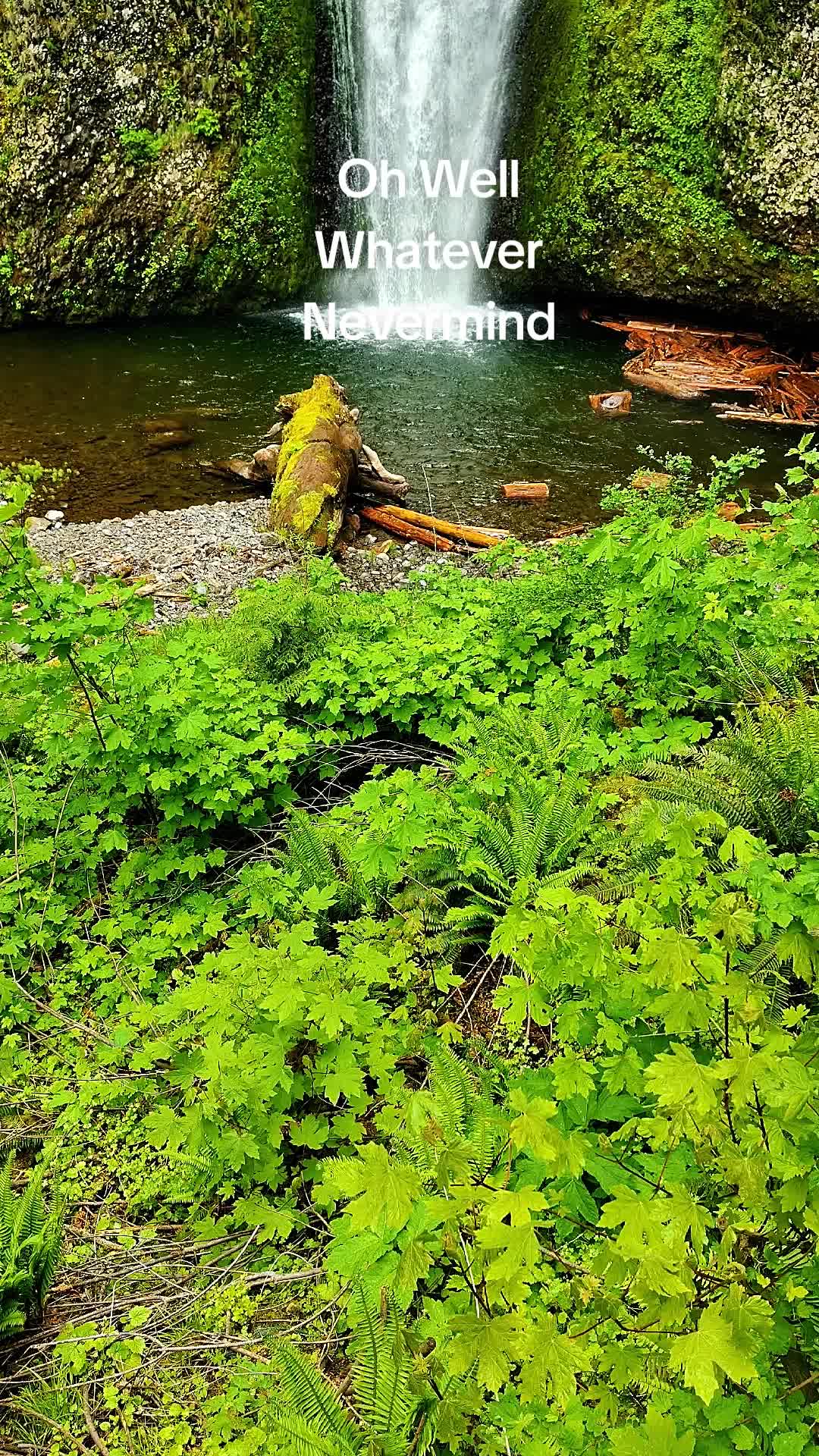 @Idaho Adventurer